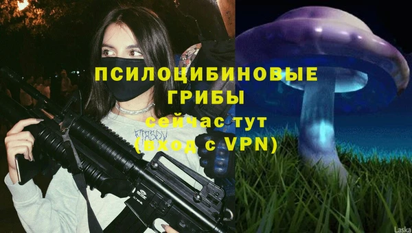 таблы Арсеньев